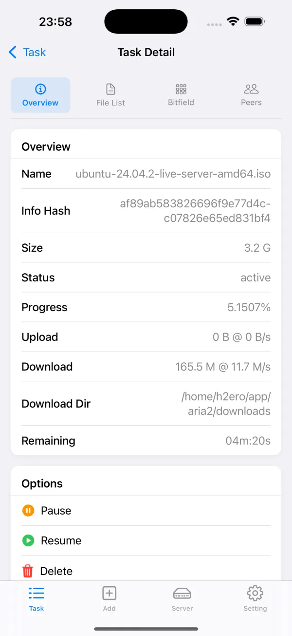 NeoAria2 screenshot